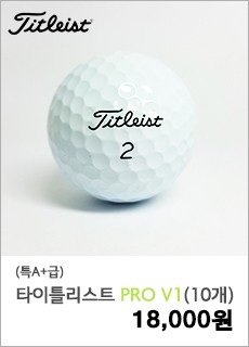 [특A+] 타이틀리스트 Pro v1 (10개)